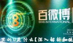 TP钱包里的U是什么？深入解析和使用指南