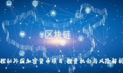 探秘外国加密货币项目：投资机会与风险解析