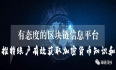如何利用推特账户有效获